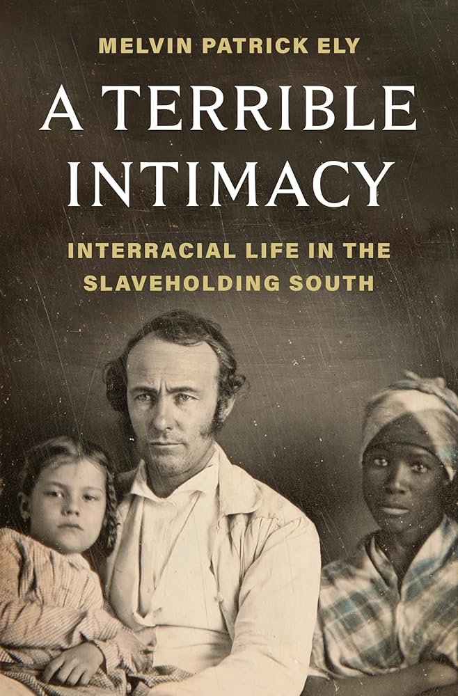 A Terrible Intimacy: Interracial Life in the Slaveholding South cover image