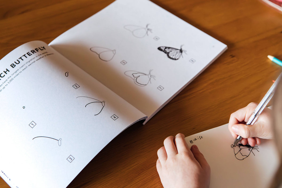 How to Draw Bugs for Kids (Butterflies, Bees, Ladybugs)