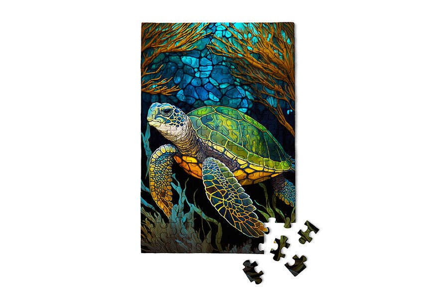 Sea Turtle - Marine Life