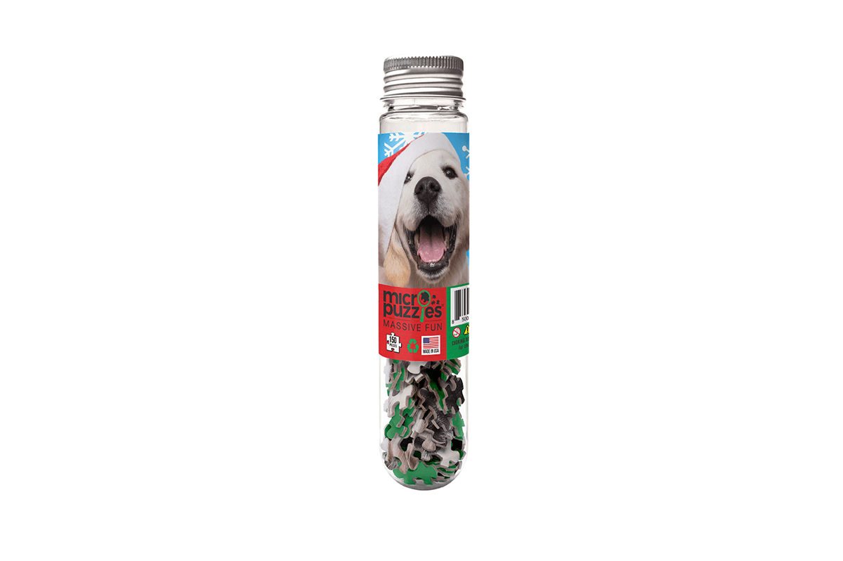 HOLIDAYS - SANTA PAWS