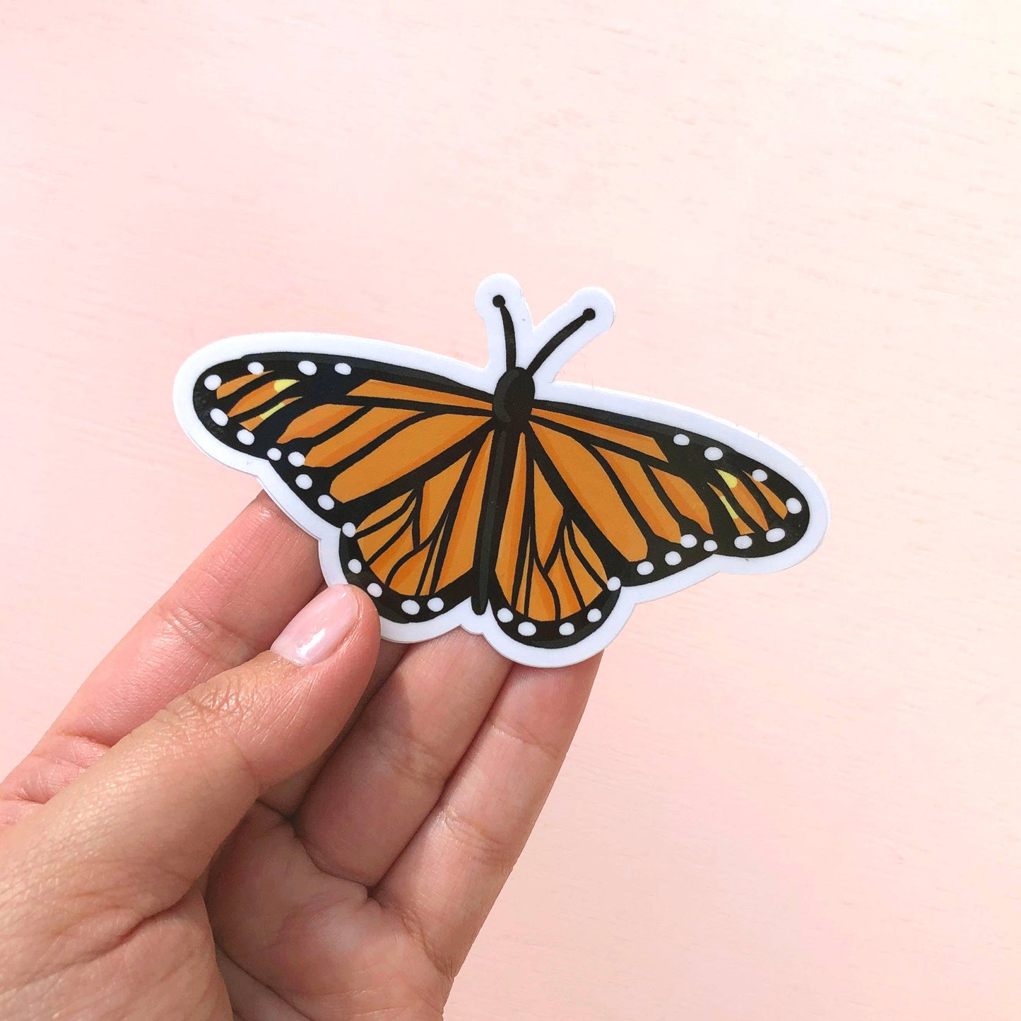 Butterfly Vinyl Sticker