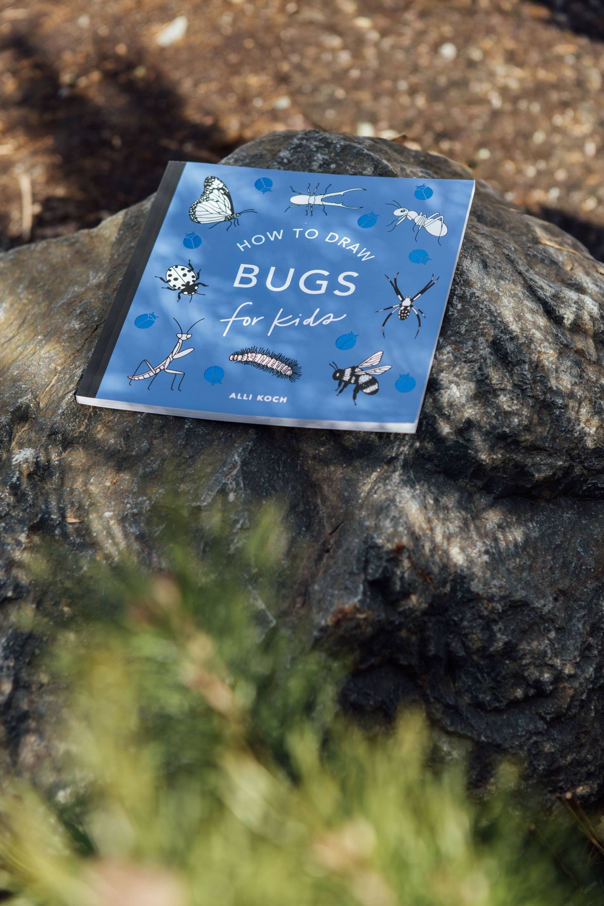 How to Draw Bugs for Kids (Butterflies, Bees, Ladybugs)