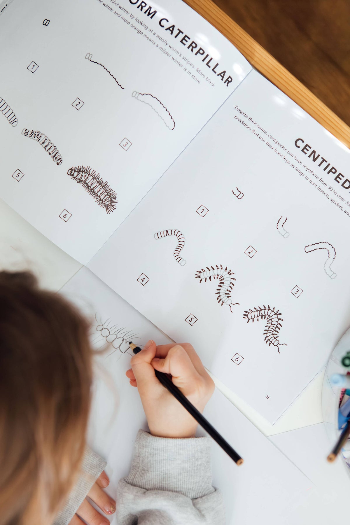 How to Draw Bugs for Kids (Butterflies, Bees, Ladybugs)