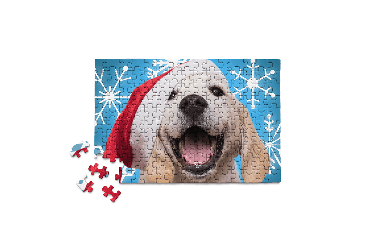 HOLIDAYS - SANTA PAWS