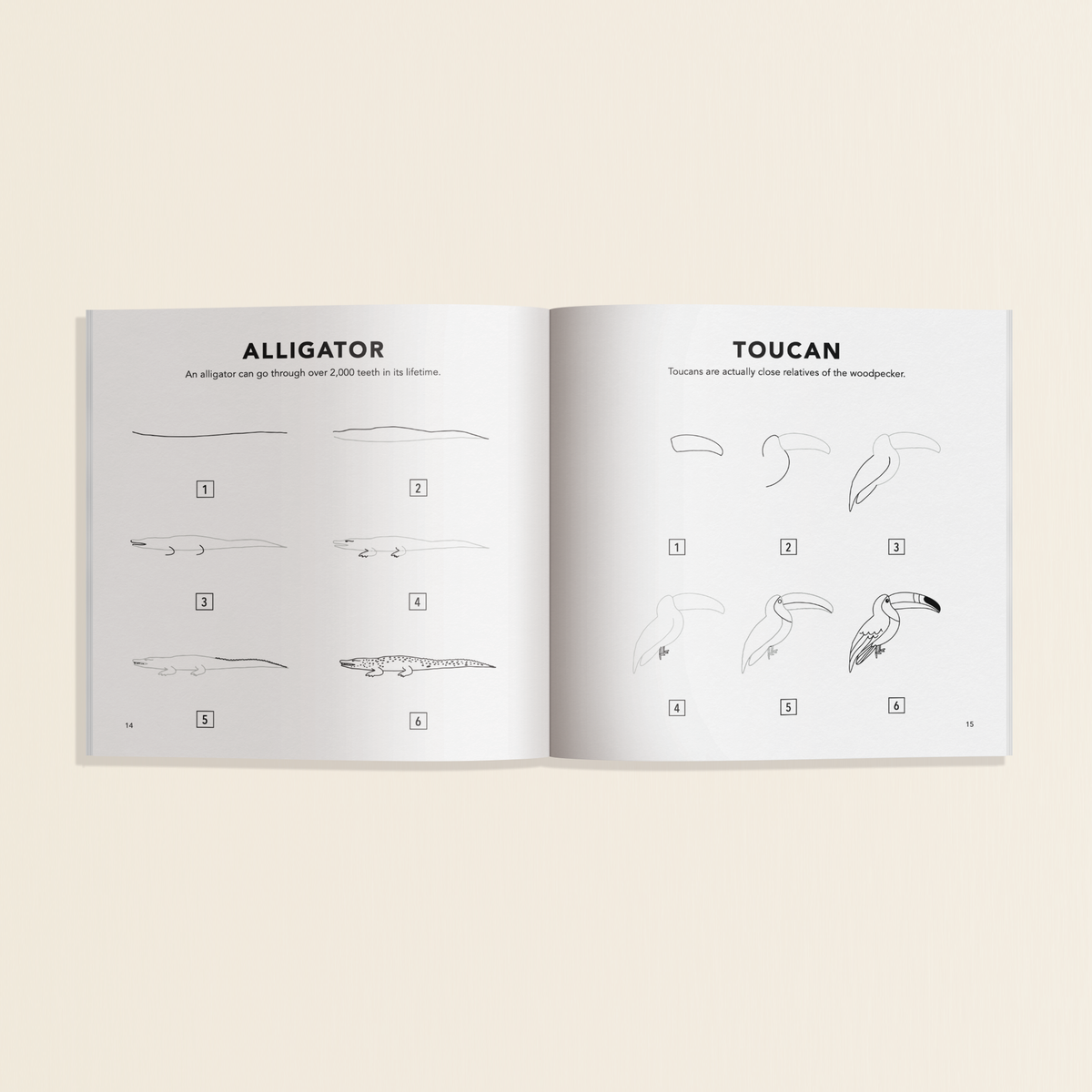 All The Animals: How to Draw Travel Size for Kids