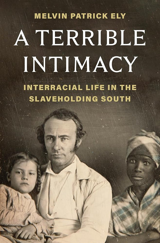 A Terrible Intimacy: Interracial Life in the Slaveholding South cover image