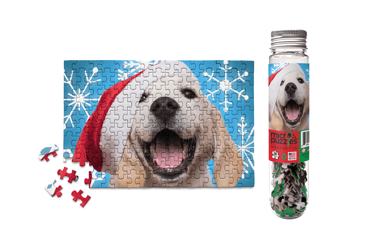 HOLIDAYS - SANTA PAWS