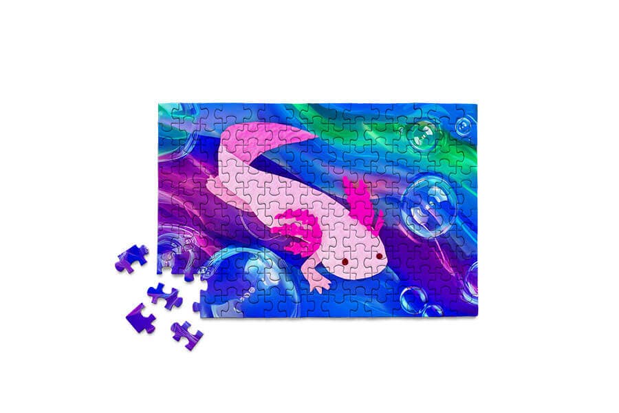 Axolotl