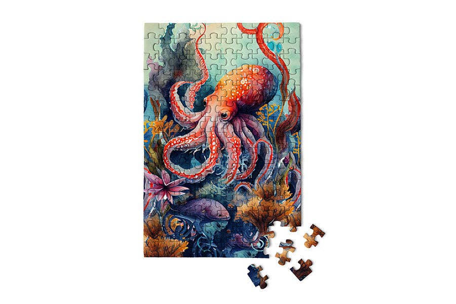 Octopus - Marine Life